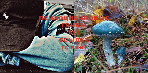 ALPHA-PVP Гусев