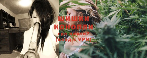 ALPHA-PVP Гусев