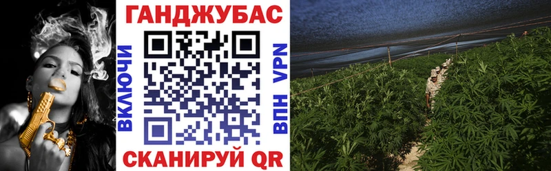 Купить закладки  Новосокольники  Канабис гибрид 